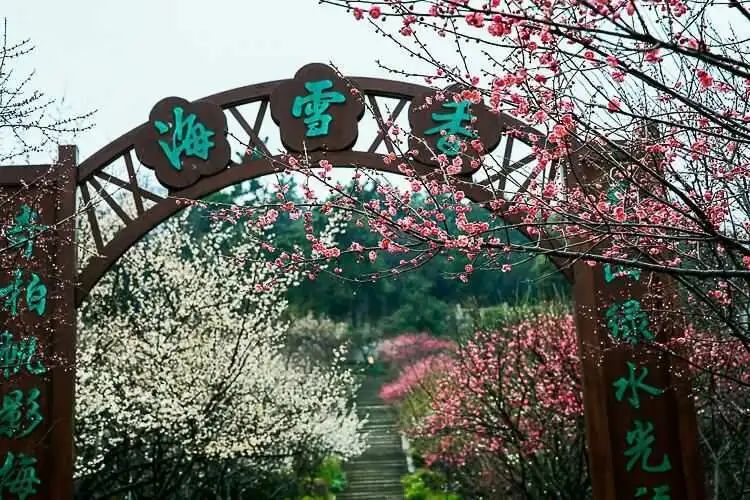 走，徒步去~(圖8)