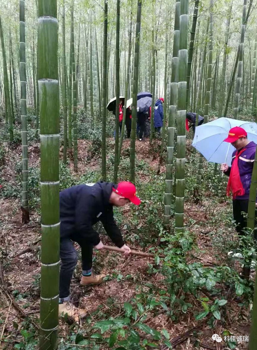 2020年【科佳誠(chéng)瑞】安吉之行----實(shí)現(xiàn)百年幸福企業(yè)之愿景(圖12)