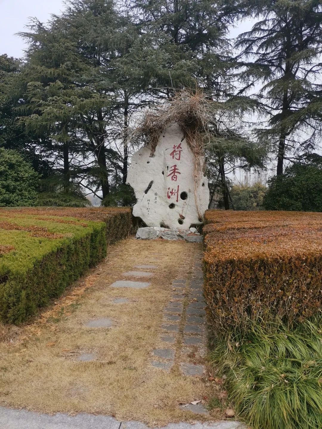 科佳誠(chéng)瑞年底溫馨之旅，共賞美景促團(tuán)結(jié)(圖7)