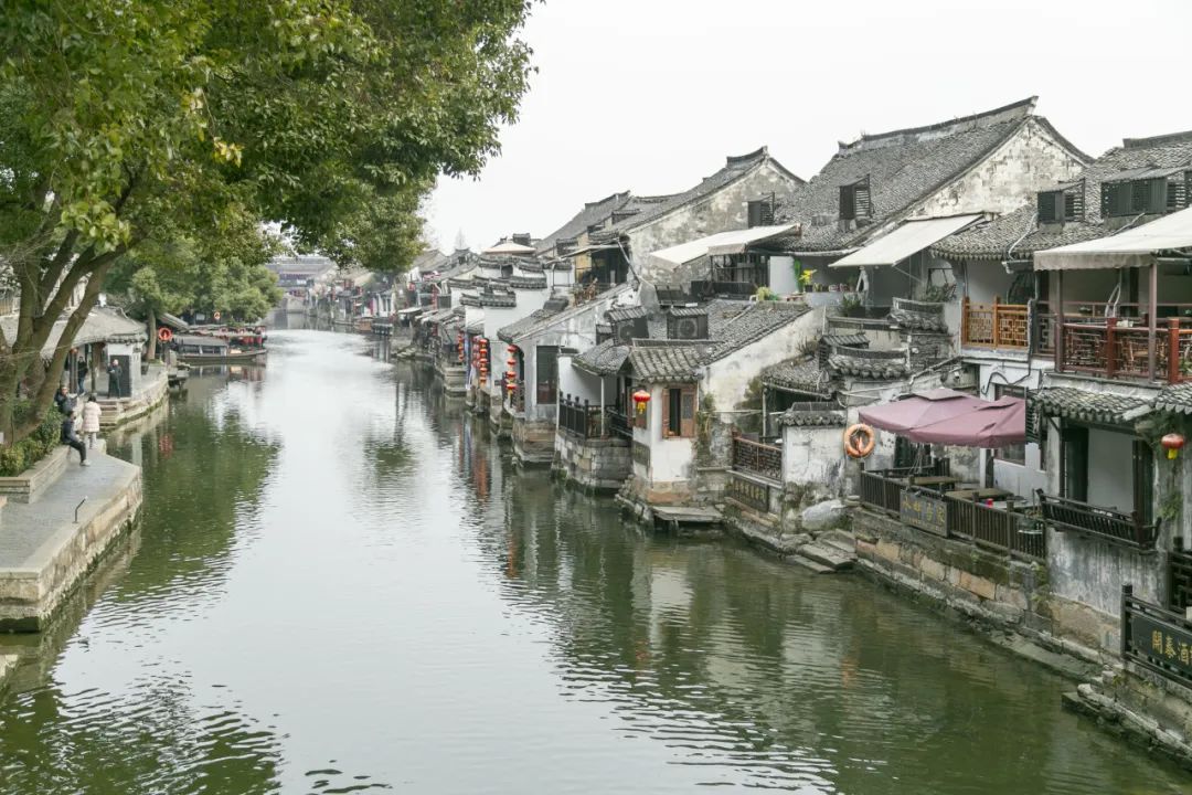 科佳年度旅行丨邂逅暖冬，解鎖歡樂密碼(圖59)